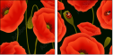 64821989