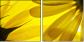 6606588