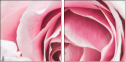 95247840