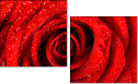 112923652