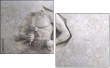 129360439