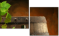 13276134