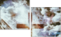 217692182