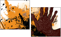 24093537