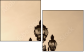 27197607