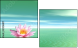 29216817