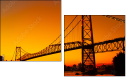 293004009