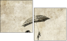 30497770