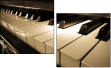 30665978