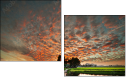 32897630
