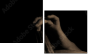 33360952