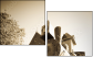 34463140