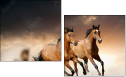 45981925