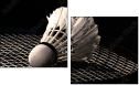 47111850