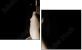 4763355