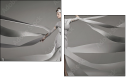 47917557