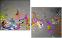 49274954