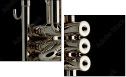 50979160