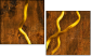 5382882