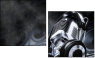 55593987