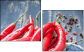 55751143