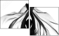 64353115
