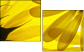 6606588