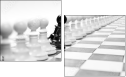 67908547