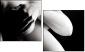 68806614