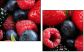 7610026