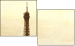 7871859