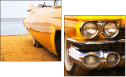 8686302