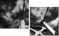 998443