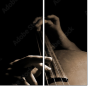 33360952