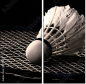 47111850