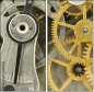 56949725