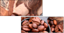 100003
