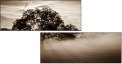 110890468