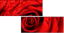 112923652