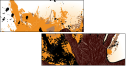 24093537