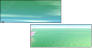 29216817