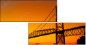 293004009