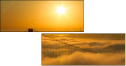 300812119
