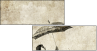 30497770