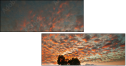 32897630