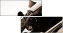 33360938