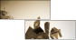34463140