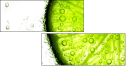 35158909