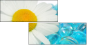 38339114