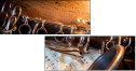 39661645